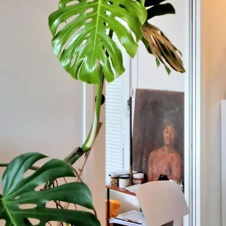 Sunny Terrasse In Modern Flat With Ac Daire *